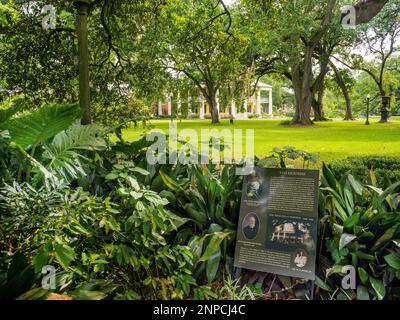 Houmas House and Gardens, ca 1840, manoir et plantation, historique, Registre national des lieux historiques Burnside, Louisiane Etats-Unis, Etats-Unis Banque D'Images