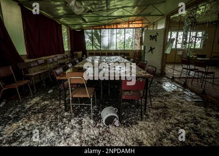 Cottages dans un complexe abandonné au milieu de la forêt. Pologne Banque D'Images