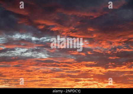 Fabuleux coucher de soleil avec des nuages dans des tons intenses et rayonnants de cramoisi, pourpre et or apparaissant en flammes et en éclat éthéré sur tout le ciel Banque D'Images