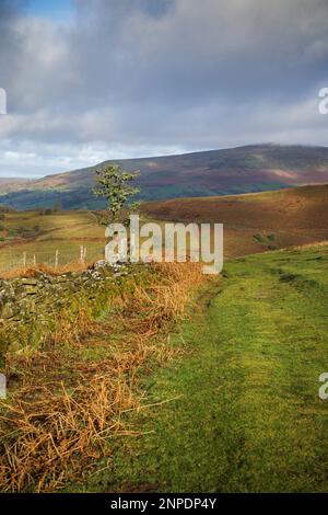 Collines ondulantes du parc national de Brecon Beacons près d'Abergavenny. Banque D'Images