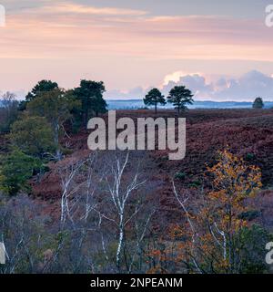 Vue sur Iksley Common depuis Rockford Common dans la nouvelle forêt. Banque D'Images