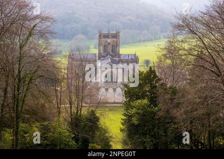 L'église de l'abbaye de Milton à Dorset entourée d'arbres d'hiver. Banque D'Images