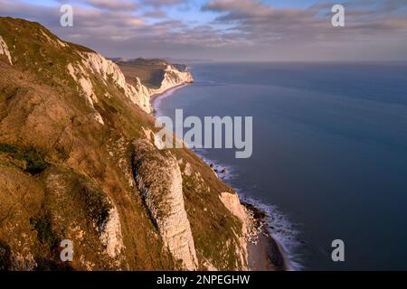 Après-midi lumière du soleil sur les falaises de craie à White Nothe dans Dorset. Banque D'Images