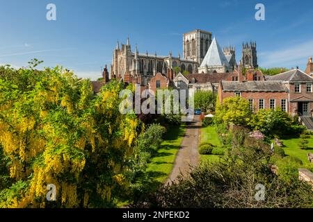 York Minster au printemps. Banque D'Images