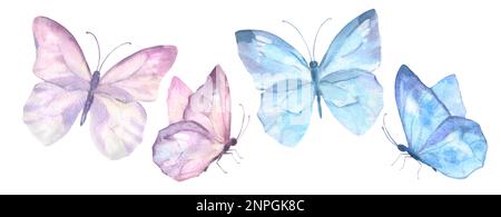 Un ensemble délicat de jolis papillons roses et bleus. L'illustration aquarelle a isolé des objets sur un fond blanc. Pour la décoration, le design romantique, Banque D'Images