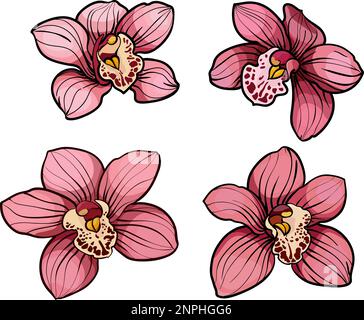 Ensemble fleurs d'orchidées, fleurs tropicales d'orchidées éléments floraux, rose, fleurs violettes, bourgeons, plantes tropicales Illustration de Vecteur