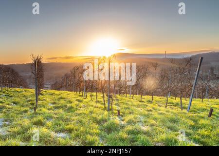 Vue d'hiver au lever du soleil d'une célèbre vallée viticole de Maastricht avec un magnifique paysage de nuages et vue sur le paysage de colline vallonnée avec des vignobles de Banque D'Images