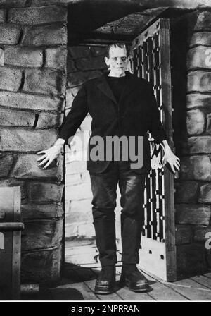 1933 : BORIS KARLOFF à FRANKENSTEIN par James Whale , du roman de Mary Shelley Wollstonecraft - CINÉMA - FILM - FILM - HORREUR - orrore - triller --- Archivio GBB Banque D'Images