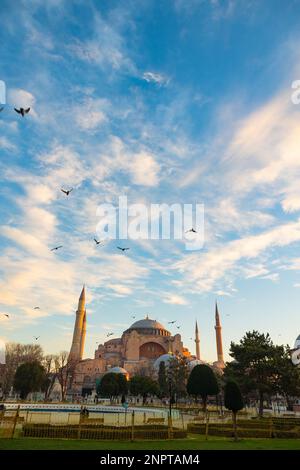 Photo verticale islamique. Basilique Sainte-Sophie ou mosquée Ayasofya le matin. Voyage à Istanbul concept. Banque D'Images