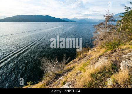 Parc Whytecliff à West Vancouver avec une vue imprenable Banque D'Images