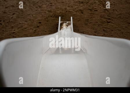 plan de haut de diapositive blanc , diapositive blanche dans l'aire de jeux pour enfants sur fond de sable , concept de chute. Photo de haute qualité Banque D'Images