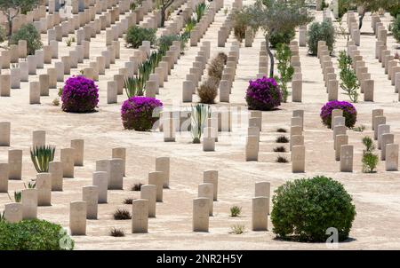 Les tombes de guerre du Commonwealth au cimetière de guerre d'El Alamein, dans le nord de l'Égypte. Le cimetière contient les tombes des soldats du Commonwealth. Banque D'Images