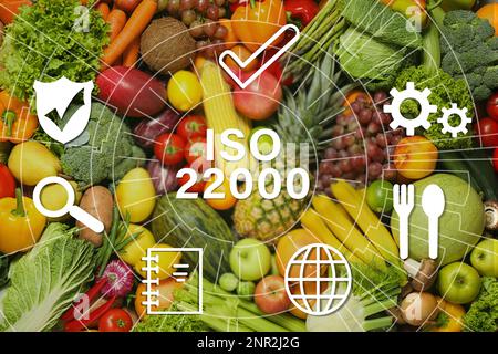 ISO 22000 - gestion de la sécurité alimentaire. Assortiment de fruits et légumes frais biologiques en arrière-plan, vue du dessus Banque D'Images