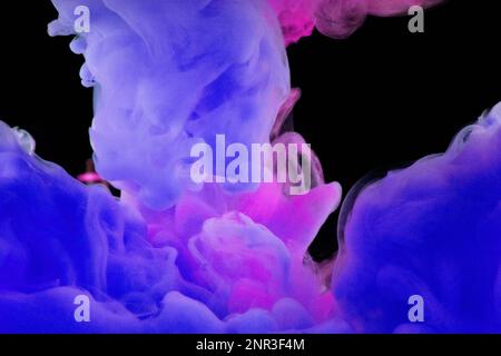 Peinture bleue et magenta tourbillonnant sous l'eau sur fond noir. Banque D'Images