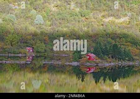 Petites maisons en bois reflétées dans l'eau douce d'un lac, forêt, couleurs d'automne, Austvagsoy, Lofoten, Nordland, Norvège, Europe Banque D'Images