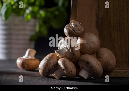 Champignons frais (Agaricus bisporus), dans un plateau en bois avec une décoration au basilic en arrière-plan Banque D'Images