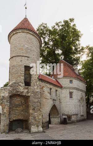 Ancienne tour en pierre de la porte Viru avec toit en terre cuite dans la ville médiévale de Tallinn, Estonie. Banque D'Images
