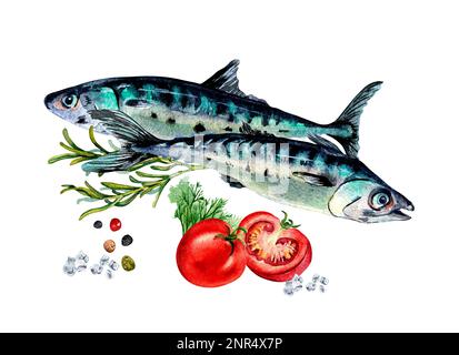 Composition du maquereau et illustration de l'aquarelle des épices isolées sur le blanc. Poisson de mer frais, tomates, romarin, épices dessinées à la main. Elément de conception pour Banque D'Images