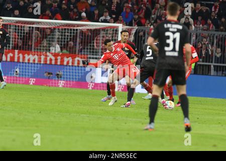 MUNICH, Allemagne. , . 42 Jamal Musiala de FcBayern, lors du match de football du Bundesliga entre le FC Bayern Muenchen et le FC Union Berlin à l'Allianz Arena de Munich le 26 février 2023, Allemagne. DFL, Fussball, 3:0 (photo et copyright @ ATP images/Arthur THILL (THILL Arthur/ATP/SPP) crédit: SPP Sport Press photo. /Alamy Live News Banque D'Images