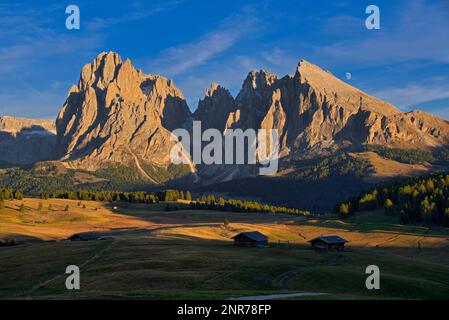 Seiser Alm (Italien: Alpe di Siusi, Ladin: Mont Sëuc) est un plateau de Dolomites et le plus grand pré alpin de haute altitude (Allemand: ALM) en Europe. Emplacement Banque D'Images