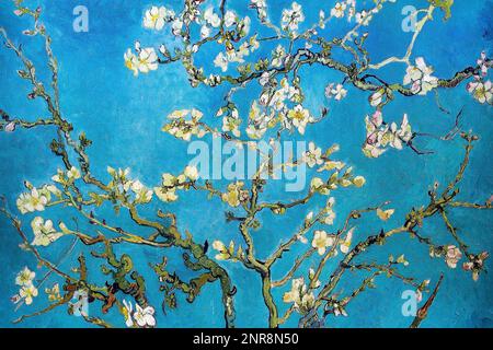 Amande Blossom, peinture de Vincent Van Gogh. Banque D'Images