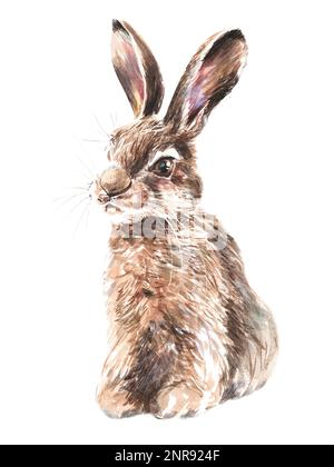 Magnifique lapin aquarelle printemps de pâques, grand design pour n'importe quel usage. Arrière-plan blanc. Banque D'Images