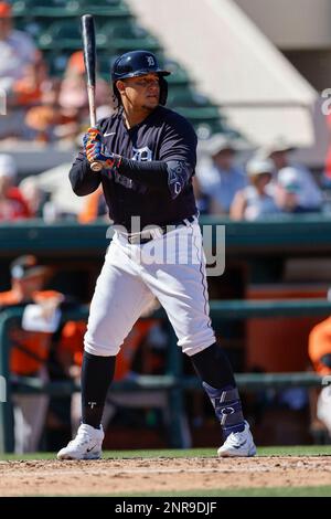 Lakeland FL USA; Detroit Tigers désigné hitter Miguel Cabrera (24) readies à frapper lors d'un match d'entraînement de printemps de la MLB contre les Orioles de Baltimore Banque D'Images