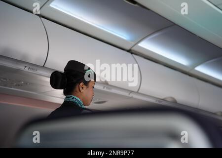 L'équipage ou le préposé de vol de Flynass, une femme travaillant dans l'avion servant de la nourriture et des boissons, traditionnellement connue sous le nom d'hôtesse de l'air, hôtesse, steward, o Banque D'Images