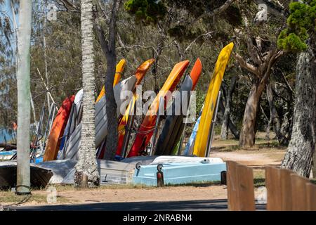 Kayaks colorés stockés sous les arbres sur la plage de sable de l'île Coochiemudlo, Queensland, Australie Banque D'Images