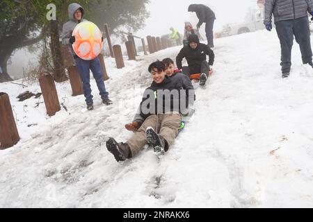 Les gens ont vu s'amuser avec la neige au parc national de Mount Diablo pendant la tempête de neige. De fortes pluies et de la neige ont traqué la côte ouest des États-Unis d'Amérique depuis la fin de février. La Californie, l'État de Washington et l'Oregon sont trois des États touchés par la tempête de neige. Dans la baie de San Francisco, la tempête de neige a battu le record de température et a neigé dans certaines zones de la baie de San Francisco, où la neige est inhabituelle dans la baie. Au parc national de Mount Diablo, de nombreuses personnes y ont conduit avec leurs familles et se sont amusées avec la neige. Depuis la tempête de neige forcée de fermer la route au parc national de Mount Diablo, Banque D'Images