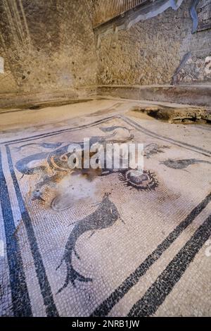 Vue détaillée du sol en mosaïque avec poissons et créatures marines. Aux thermes MasChili de la ville archéologique romaine de ruine, ville si Banque D'Images