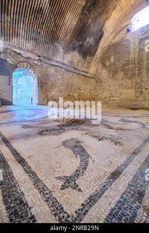 Vue détaillée du sol en mosaïque avec poissons et créatures marines. Aux thermes MasChili de la ville archéologique romaine de ruine, ville si Banque D'Images