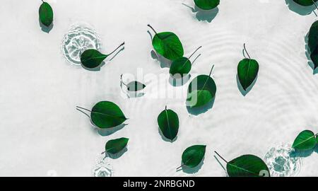 L'eau s'ondulation avec des feuilles vertes. Fond blanc tendance pour la présentation des produits cosmétiques. Concept artistique. Copier l'espace Banque D'Images
