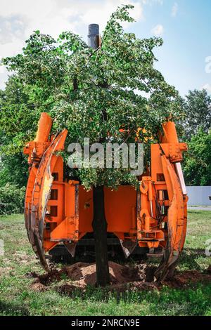 Plantation d'arbres à l'aide d'une machine spécialisée à bêche pour la transplantation et le transport d'arbres Banque D'Images