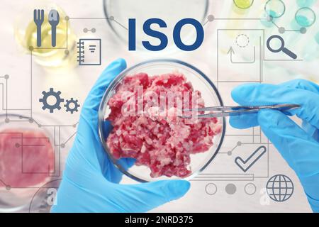 ISO 22000 - gestion de la sécurité alimentaire. Scientifique tenant une boîte de Petri avec forcemeat sur la table, vue de dessus Banque D'Images