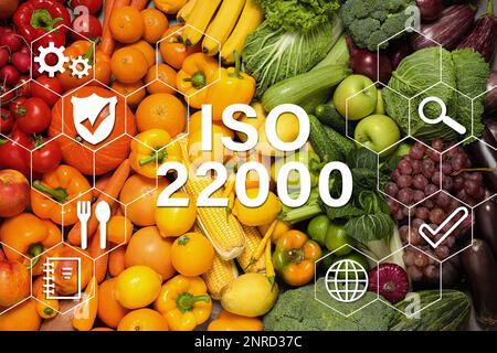 ISO 22000 - gestion de la sécurité alimentaire. Assortiment de fruits et légumes frais biologiques en arrière-plan, vue du dessus Banque D'Images