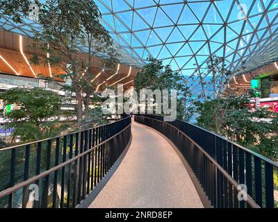 L'aéroport international de Hamad (DOH) s'étend avec un jardin tropical intérieur. Banque D'Images