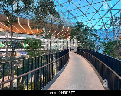 L'aéroport international de Hamad (DOH) s'étend avec un jardin tropical intérieur. Banque D'Images