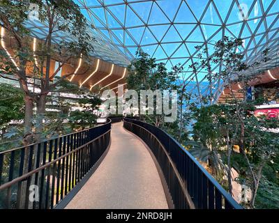 L'aéroport international de Hamad (DOH) s'étend avec un jardin tropical intérieur. Banque D'Images