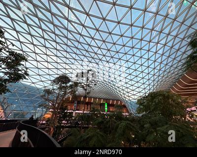 L'aéroport international de Hamad (DOH) s'étend avec un jardin tropical intérieur. Banque D'Images