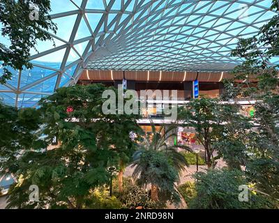 L'aéroport international de Hamad (DOH) s'étend avec un jardin tropical intérieur. Banque D'Images