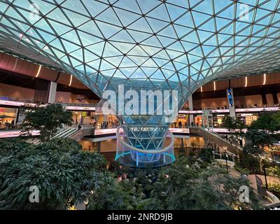 L'aéroport international de Hamad (DOH) s'étend avec un jardin tropical intérieur. Banque D'Images