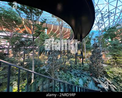 L'aéroport international de Hamad (DOH) s'étend avec un jardin tropical intérieur. Banque D'Images