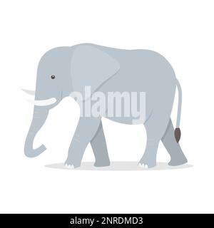 Dessin animé éléphant mignon. illustration vectorielle Illustration de Vecteur