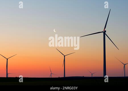 Silhouettes d'un groupe d'éoliennes au lever du soleil. Banque D'Images