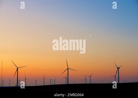 Silhouettes d'un groupe d'éoliennes au lever du soleil. Banque D'Images