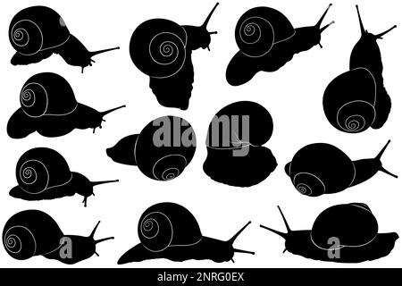 Collection de différentes silhouettes d'escargot isolées sur blanc Banque D'Images