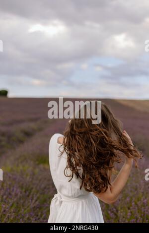 Femme à l'heure d'or dans un champ de lavande anglais Banque D'Images