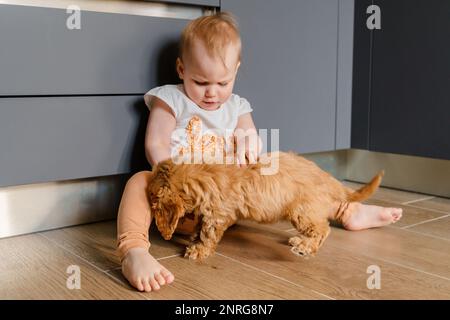 Enfant fille tout-petit jouant avec un chiot de Maltipu sur le sol Banque D'Images