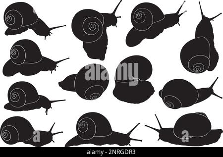 Collection de différentes silhouettes d'escargot isolées sur blanc Illustration de Vecteur